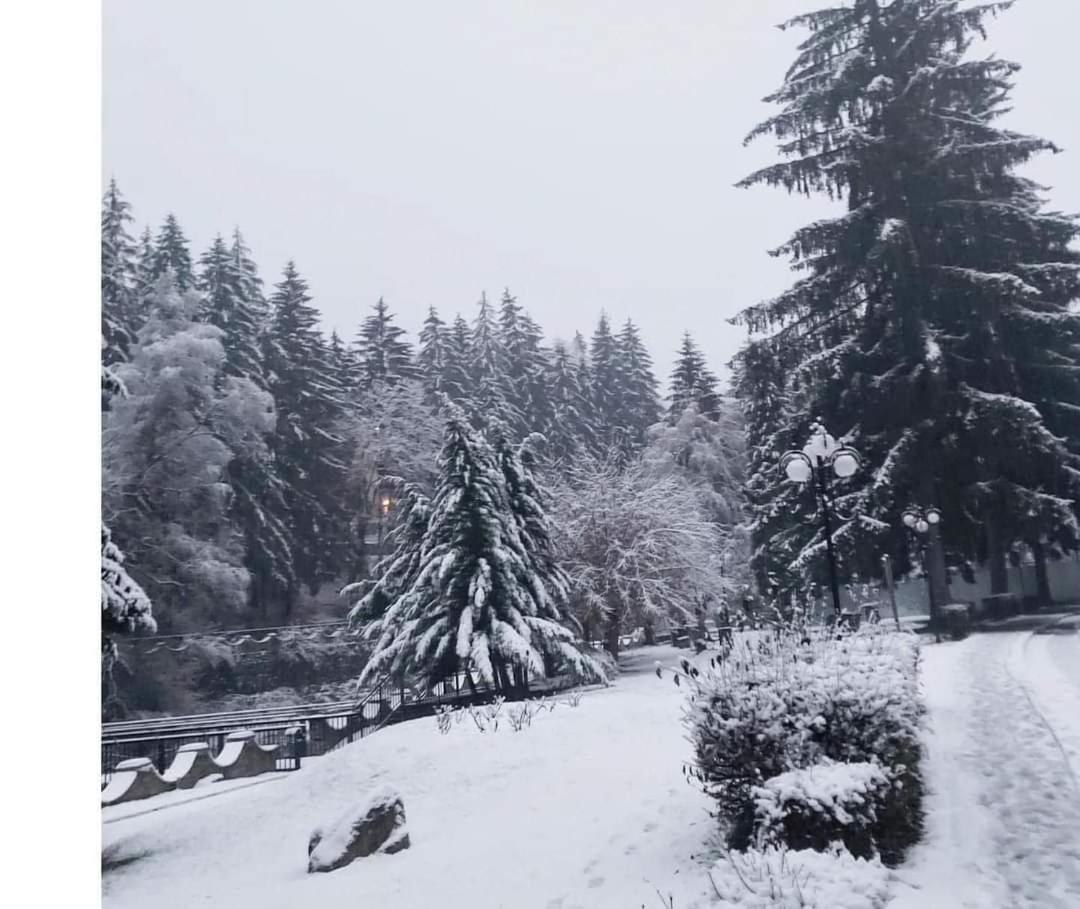 Vila Nicoleta Băile Olăneşti Buitenkant foto