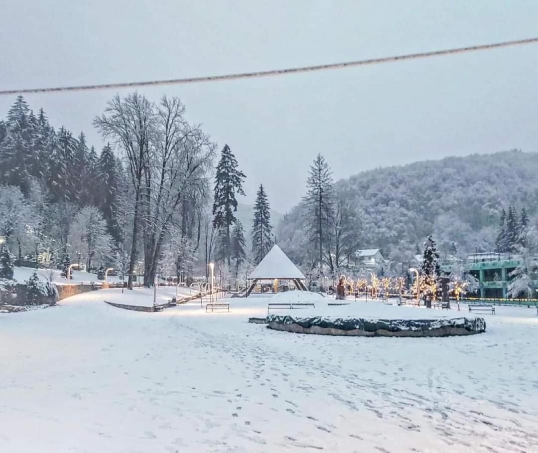 Vila Nicoleta Băile Olăneşti Buitenkant foto