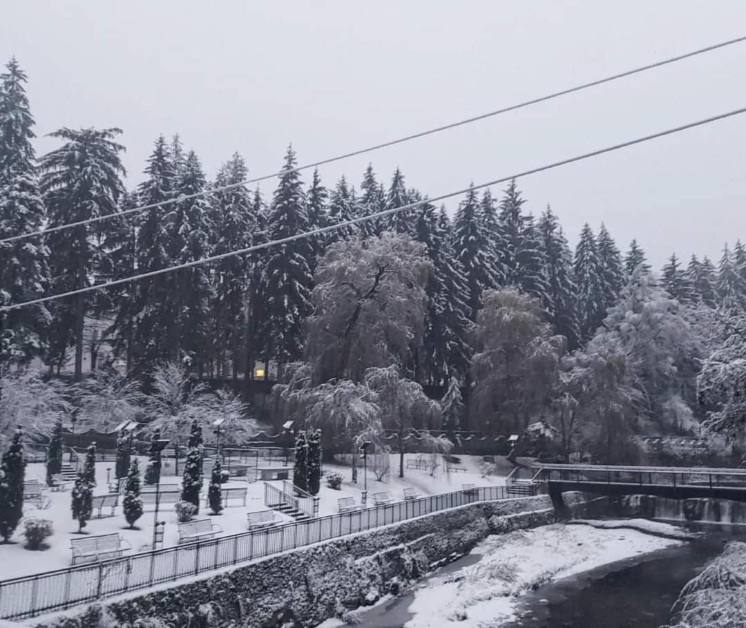 Vila Nicoleta Băile Olăneşti Buitenkant foto