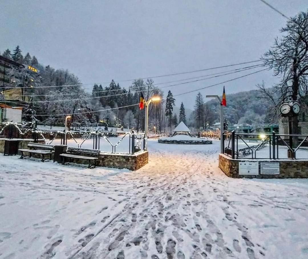 Vila Nicoleta Băile Olăneşti Buitenkant foto