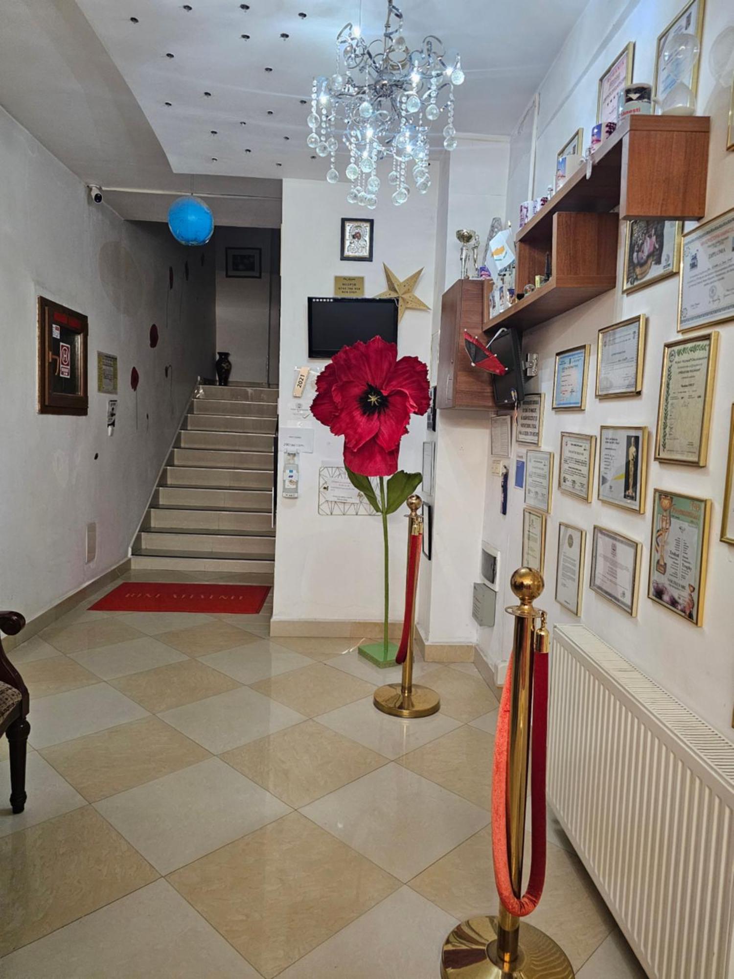 Vila Nicoleta Băile Olăneşti Buitenkant foto